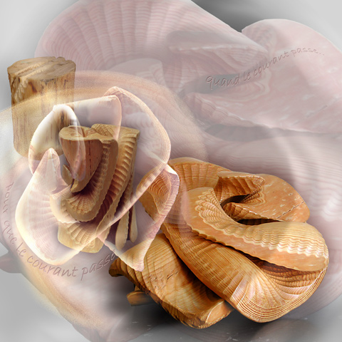 digigraphie 176